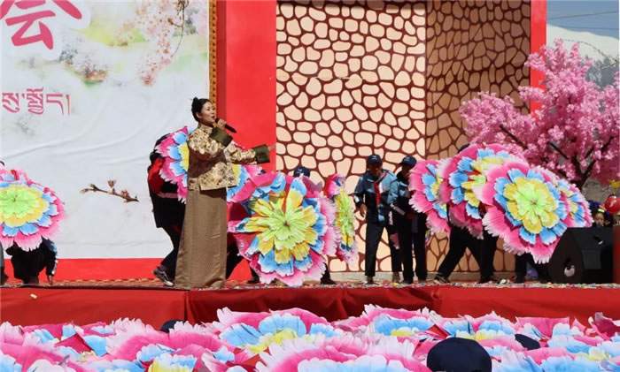 杏花已开，佳期已至！快叫上小伙伴一起来洛隆看杏花吧~