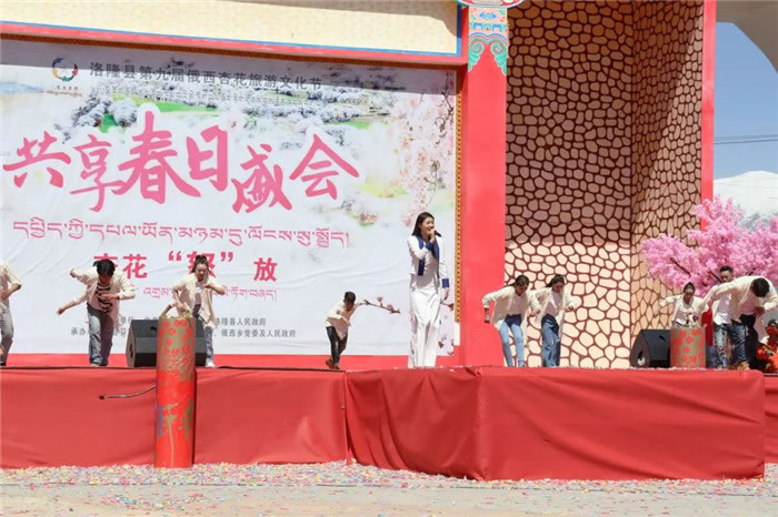 杏花已开，佳期已至！快叫上小伙伴一起来洛隆看杏花吧~